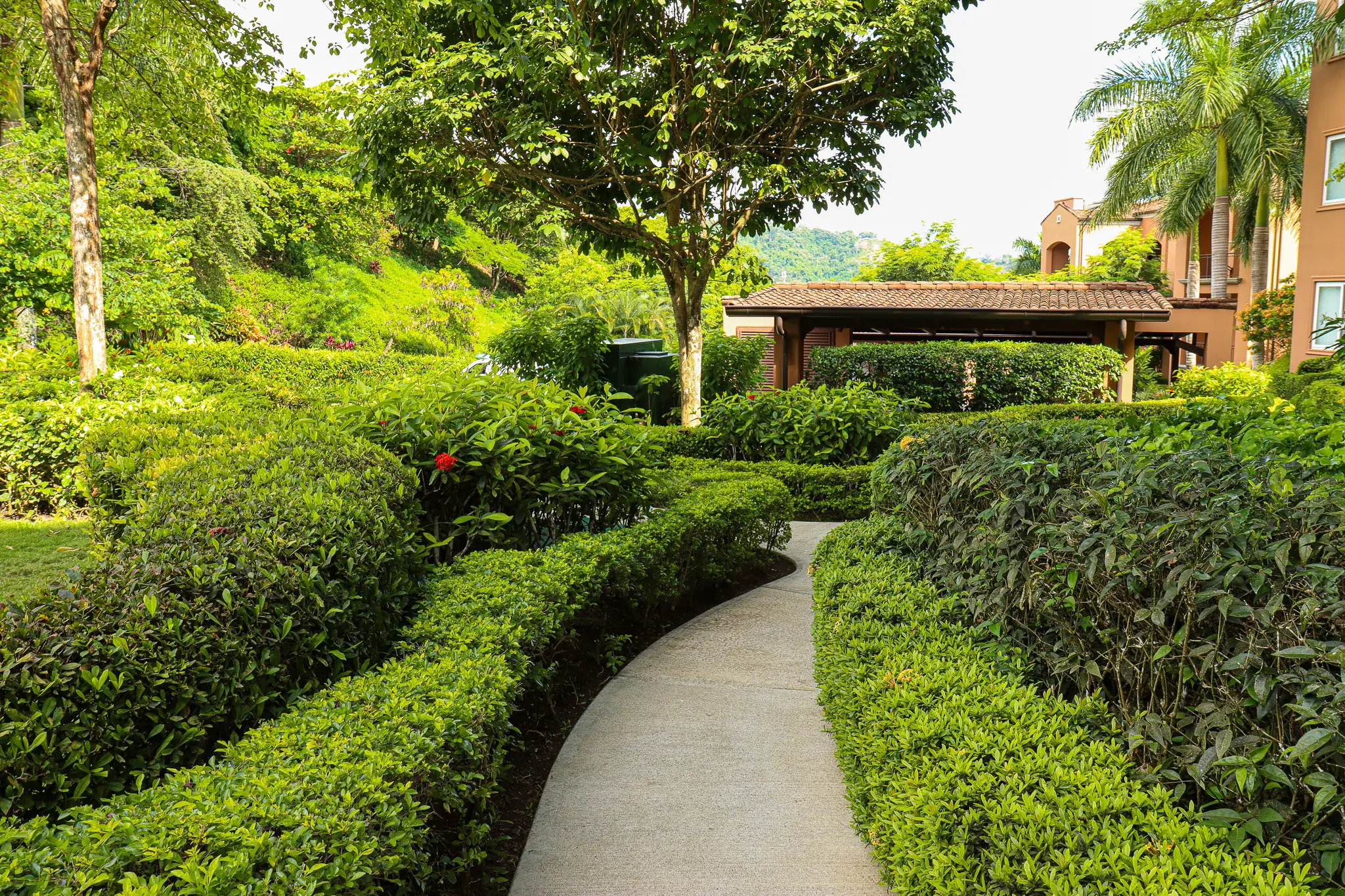 Los Sueños Alta Vista